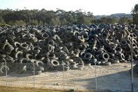 Valorpneu distingue projecto inovador
