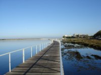 Esposende e Barcelos limpam rio Cávado