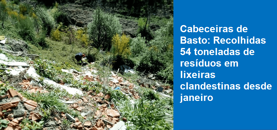 Cabeceiras de Basto: Recolhidas 54 toneladas de resíduos em lixeiras clandestinas desde janeiro
