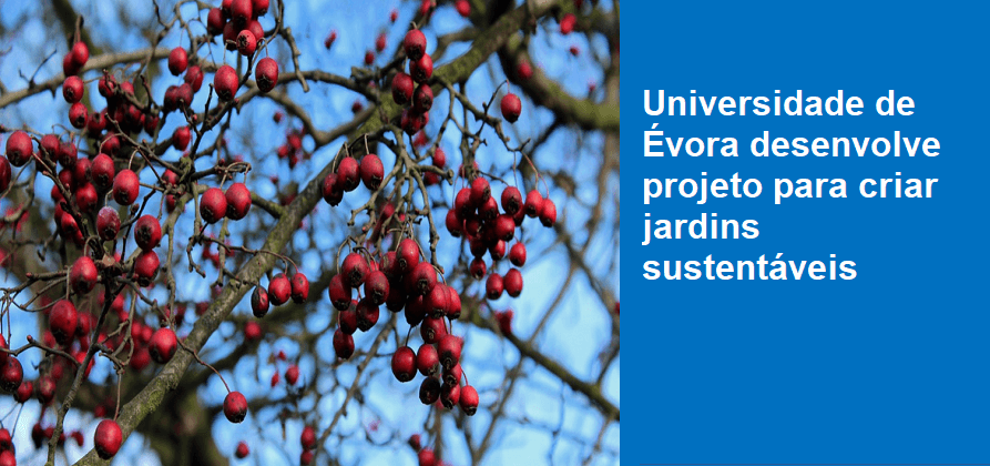Universidade de Évora desenvolve projeto para criar jardins sustentáveis