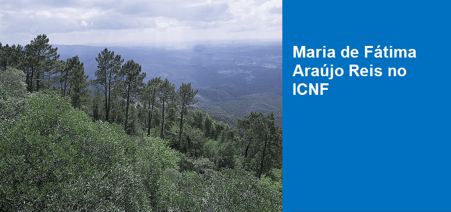 Maria de Fátima Araújo Reis no ICNF
