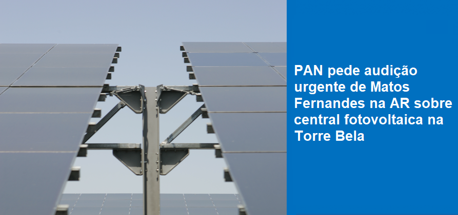 PAN pede audição urgente de Matos Fernandes na AR sobre central fotovoltaica na Torre Bela