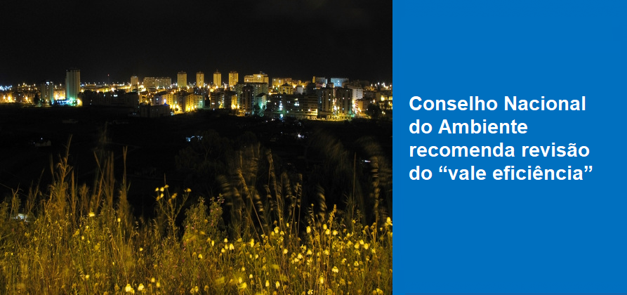 Conselho Nacional do Ambiente recomenda revisão do “vale eficiência”