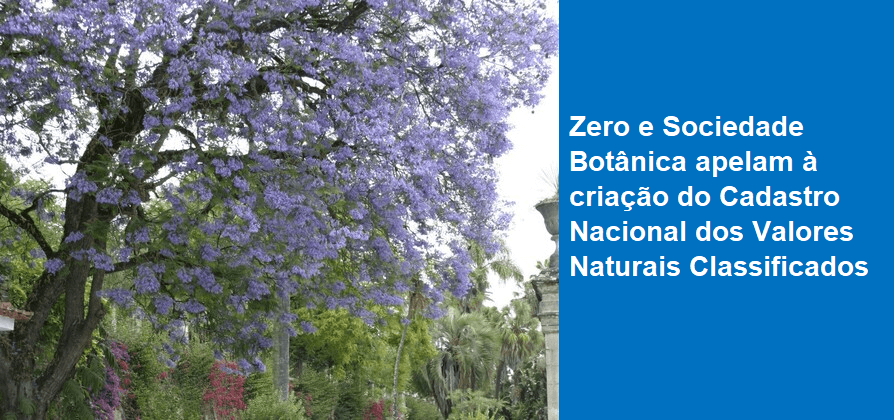 Zero e Sociedade Botânica apelam à criação do Cadastro Nacional dos Valores Naturais Classificados