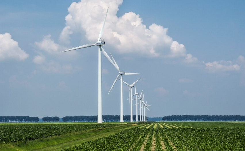 Estudo indica que “falta uma rede de segurança para nova economia energética”