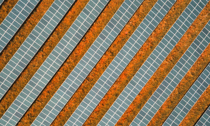  Secretária de Estado da Energia considera existir falsa dicotomia entre expansão de energia solar e agricultura