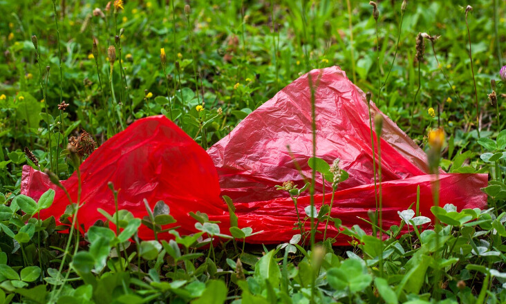 Dia Mundial do Ambiente: PAN propõe pacote de iniciativas que visam contribuir para aumentar a reutilização e reduzir na origem a produção de resíduos plásticos