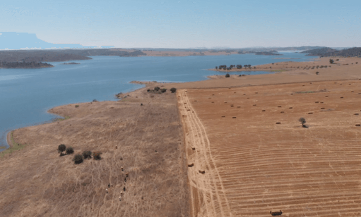 Água do Alqueva utilizada para rega sem autorização em área de quase 6500 hectares