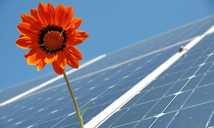 Movimentos contra centrais fotovoltaicas querem ser assistentes no processo que levou à demissão do Primeiro-Ministro