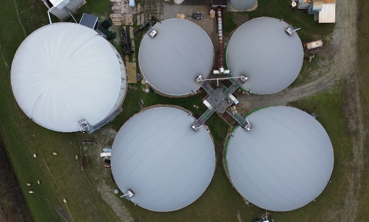 Leilão de gases renováveis: sucesso no hidrogénio, fiasco no biometano 