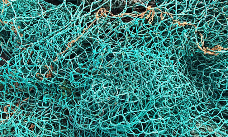 Governo estabelece regime do exercício da pesca por arte de arrasto