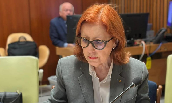 Ministra do Ambiente e Energia admite relação entre os incêndios e as alterações climáticas