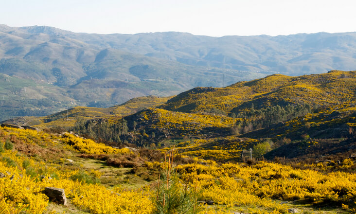Parque Peneda-Gerês recebe investimento de 3,8 milhões