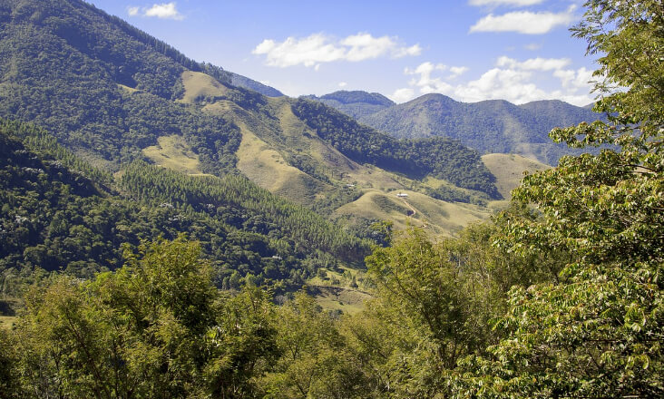 Comissão Europeia insta Portugal a cumprir regras sobre biodiversidade, mar e eficiência energética dos edifícios