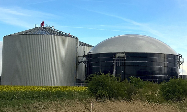 Espanhola Five Bioenergy vai investir 45 milhões de euros numa central de biogás em Celorico da Beira