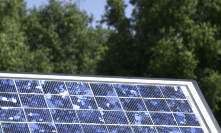 Diretivas sobre renováveis e eficiência energética são insuficientes e falham Acordo de Paris, alerta ZERO