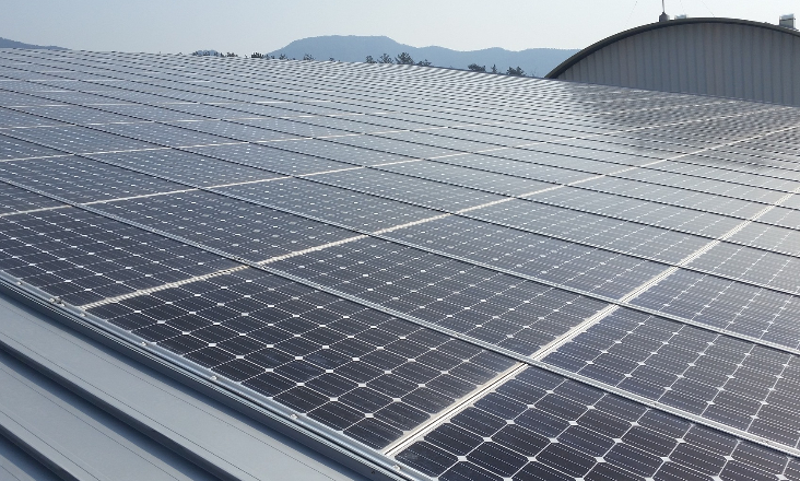 Comunidades de energia da Cleanwatts esperam há mais de um ano por licença