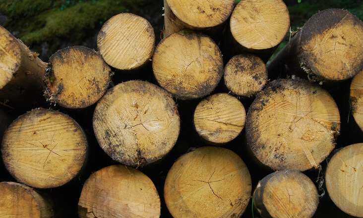 INE: Consumo interno de materiais extraídos do ambiente recua 10,5% em 2022 