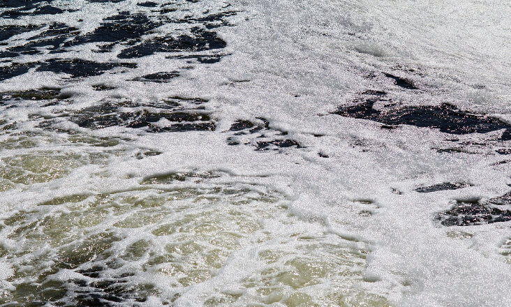 Manifesto em defesa do rio Ferreira quer solução definitiva para problema ambiental