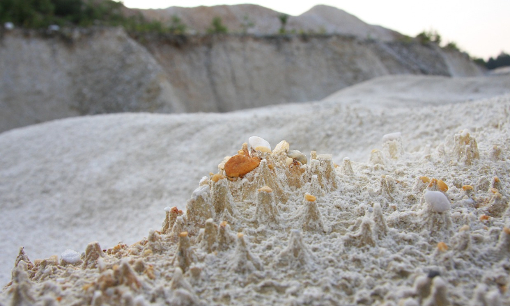  Governo atribui concessão de exploração de depósitos minerais de argilas especiais no concelho de Pombal