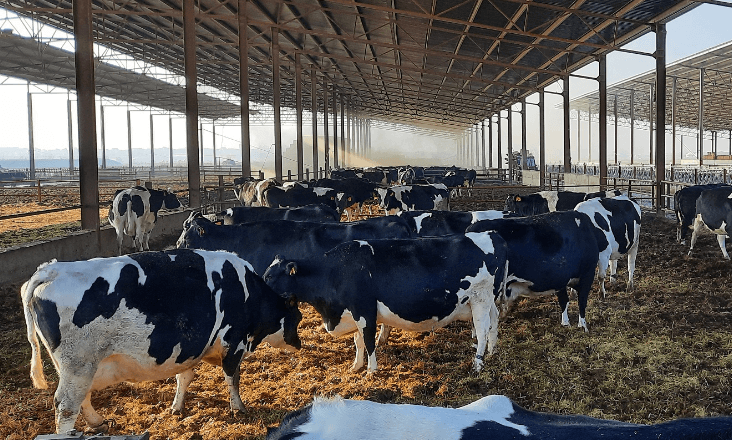 Axpo Iberia e Goldenergy anunciam projeto de produção de biometano em Vila do Conde