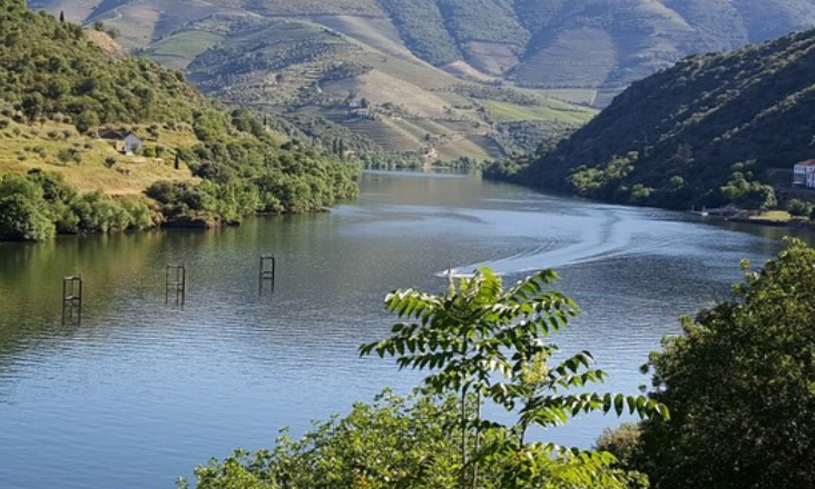 Zona de Proteção Especial do Douro Internacional e Vale do Águeda ampliada para mais do dobro