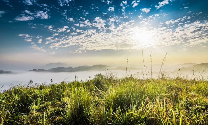 ZERO lamenta que Conservação da Natureza tenha perdido a titularidade enquanto Secretaria de Estado