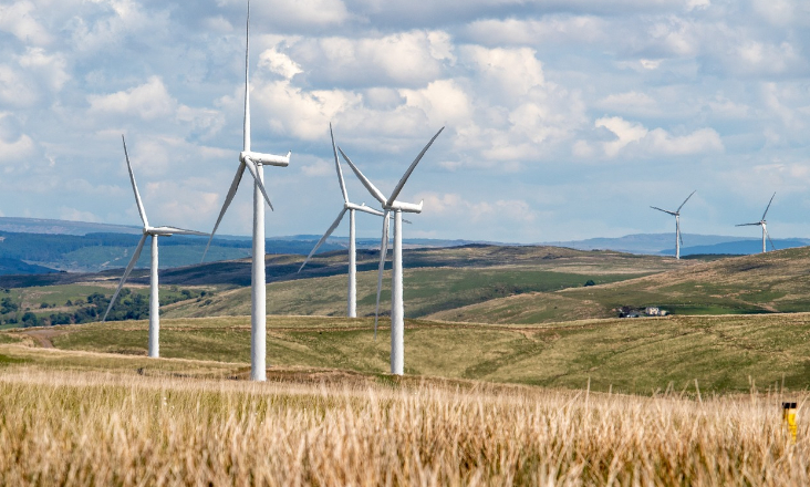 ONG de ambiente apelam para aplicação inteligente da Diretiva Energias Renováveis