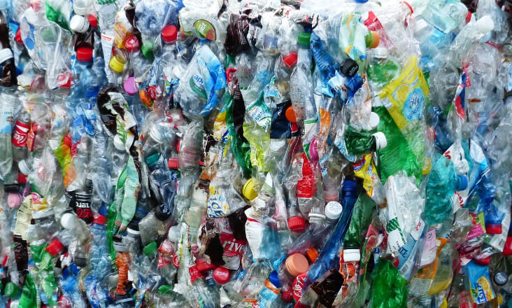 TRATOLIXO lança ferramenta digital para reforçar literacia sobre reciclagem