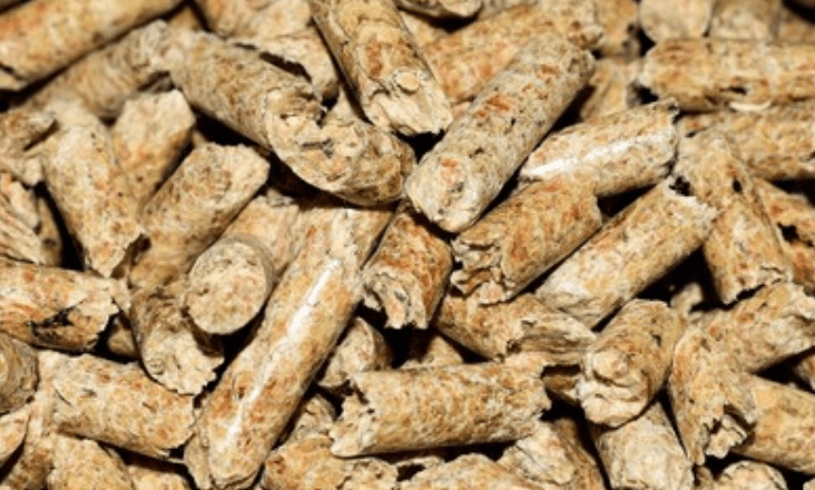 Indústria de pellets põe em causa floresta portuguesa, alerta associação ZERO