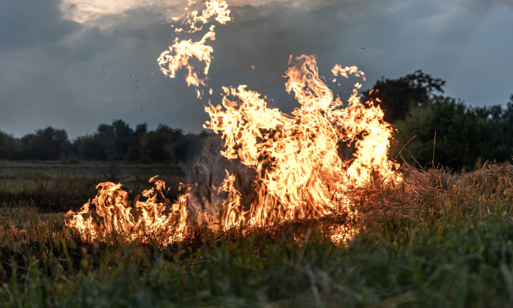 Comissão Europeia aprova avaliação preliminar de pagamento de 1,34 mil milhões de euros a Portugal para investimentos em habitação eficiente e prevenção de incêndios