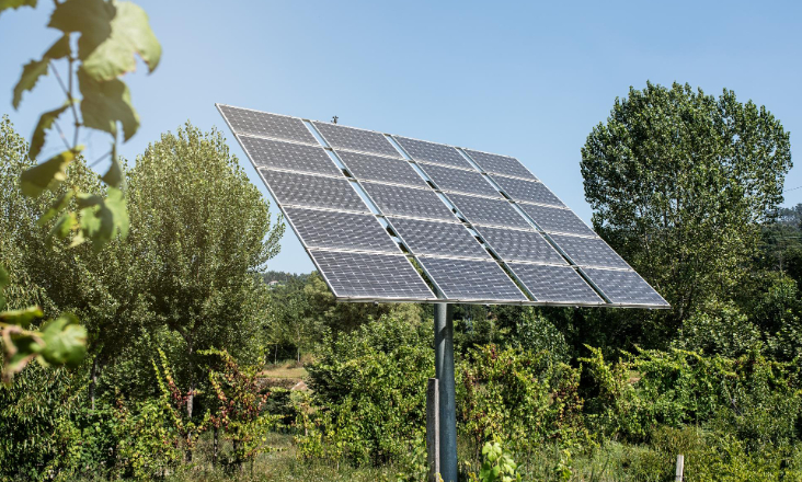 Governo dos Açores retoma análise das candidaturas ao SOLENERGE