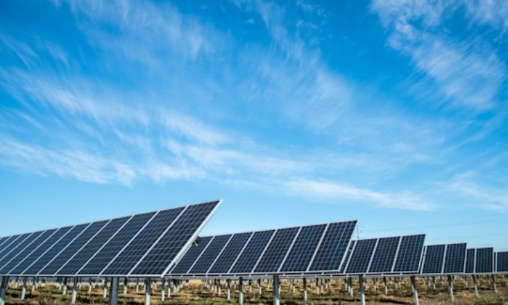 Desistências de projetos solares aumentam em Portugal, alerta Paulo Carmona