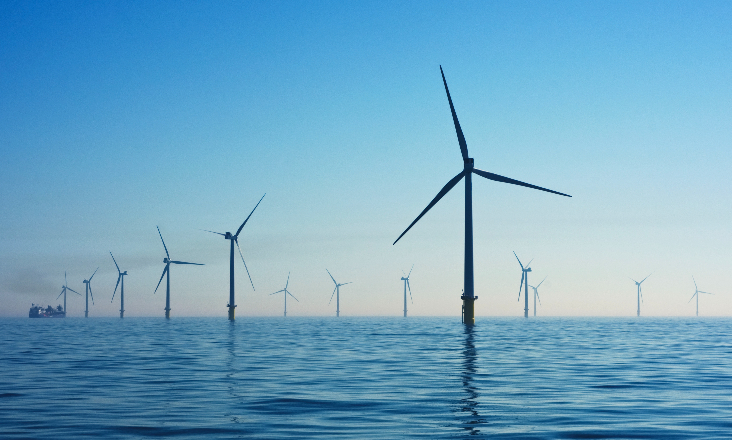 ONG de ambiente querem excluir três zonas propostas para implantação de energias renováveis offshore