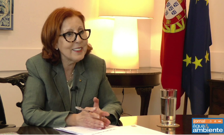 Grande entrevista a Maria da Graça Carvalho