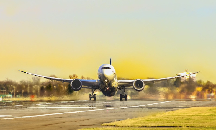 Organizações ambientalistas antecipam dificuldades em sede de estudo de impacto ambiental do aeroporto de Alcochete