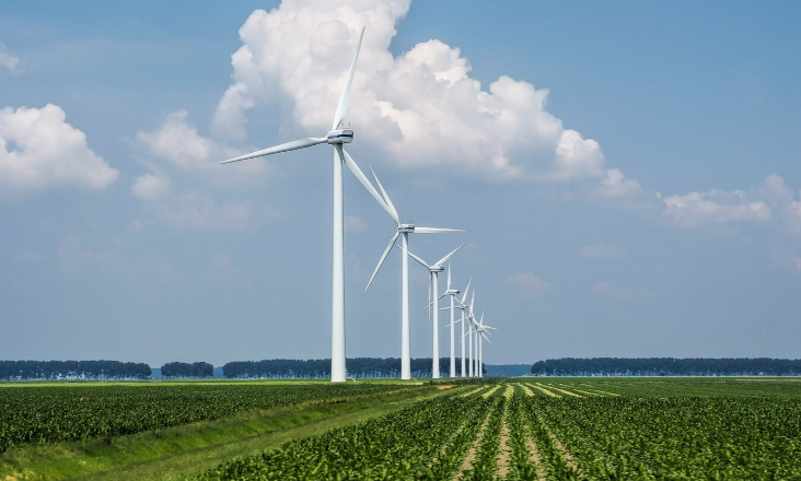 Estudo indica que “falta uma rede de segurança para nova economia energética”