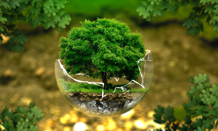 Publicado diploma que cria a Agência para o Clima e a sua lei orgânica
