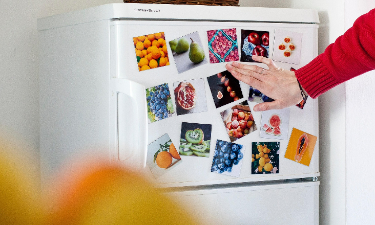 ZERO pede melhor fiscalização da gestão dos frigoríficos usados 
