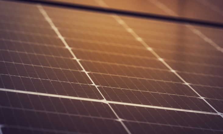 ZERO contesta central fotovoltaica em Ferreira do Alentejo e critica processo de avaliação ambiental