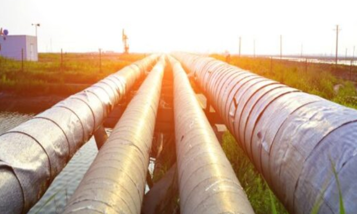 Ministro do Ambiente confirma avanço de projetos de lítio, hidrogénio e eólicos e travão - para já - ao gasoduto