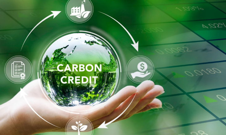 COP 29: aprovadas regras para mercado dos créditos de carbono