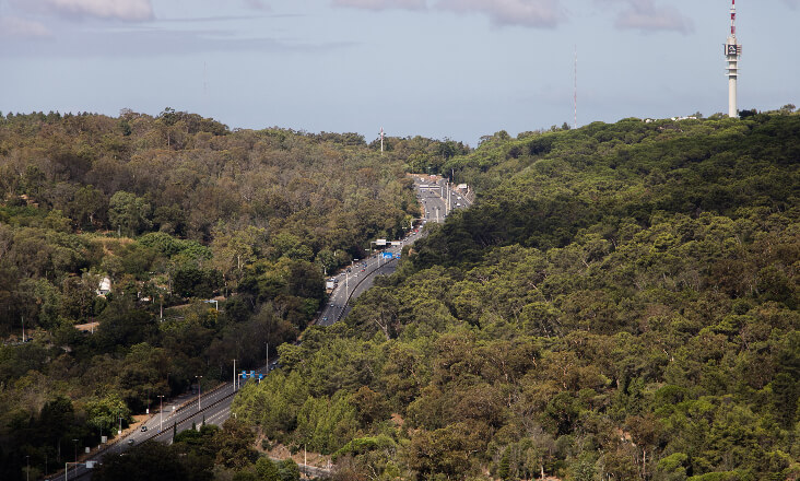 12% do território continental português apto para projetos de energia renovável com salvaguarda do ambiente