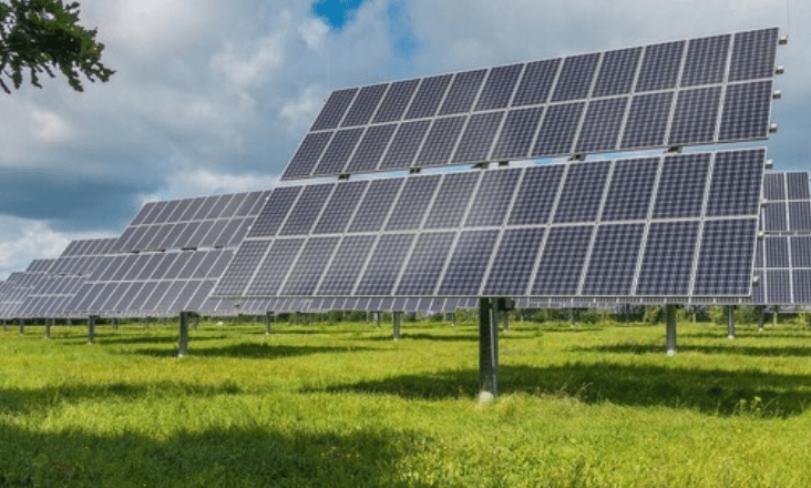Quercus alerta para impactes da Central Fotovoltaica do Cabeço Santo