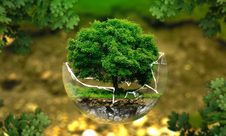 Índice de Transição Verde: Portugal destaca-se na energia, mas é dos piores nos resíduos e proteção da natureza