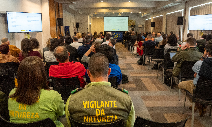 Coelho-bravo: especialistas defendem continuidade do projeto ‘Life Iberconejo’