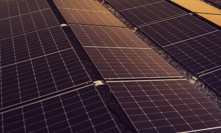 Fundação Champalimaud junta-se à Greenvolt para alcançar a neutralidade carbónica