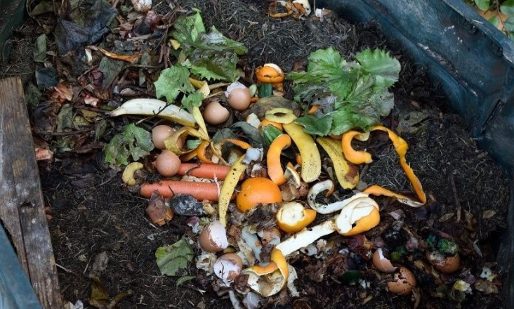 Projeto “Compostagem é Reciclar e Reutilizar-Ser Melhor pelo Ambiente!” já entregou 550 compostores domésticos
