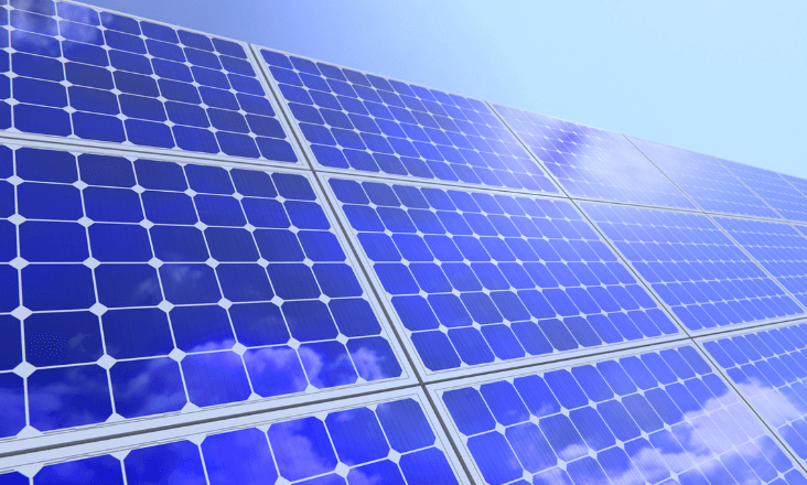 Câmara de Coimbra diz que ICNF deu parecer positivo a parque fotovoltaico