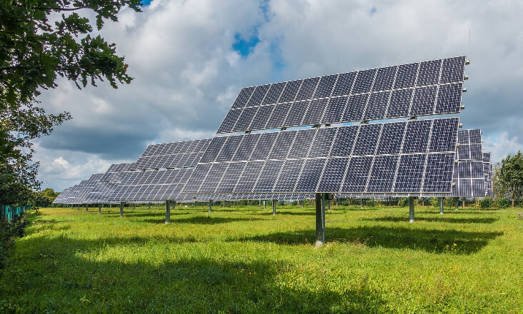 Associação apresenta providência para evitar obras de central solar em Santiago do Cacém